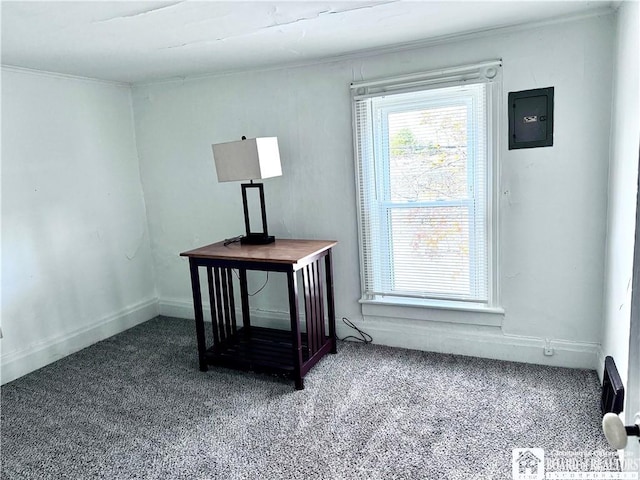 home office with carpet floors and electric panel