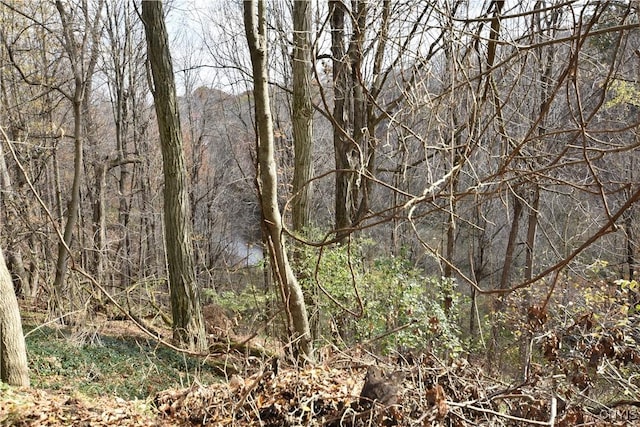 228 Main St, Theresa, NY 13691 - view of woods
