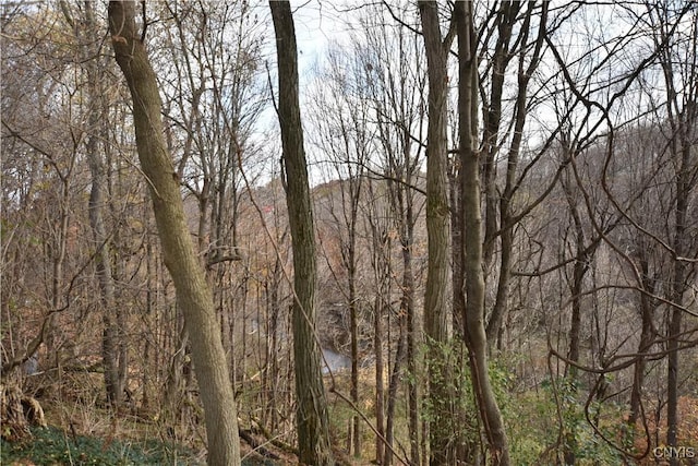 228 Main St, Theresa, NY 13691 - view of woods
