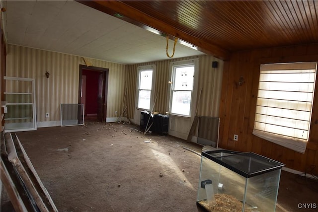 228 Main St, Theresa, NY 13691 - empty room featuring radiator heating unit and wooden ceiling