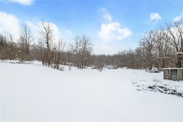 view of yard covered in snow