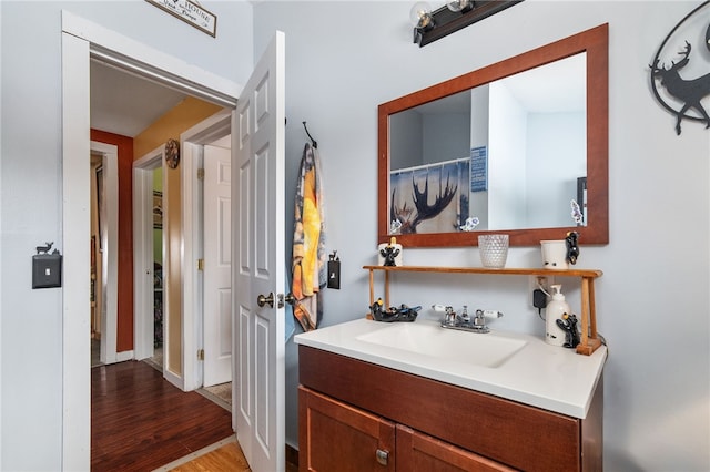 bathroom with vanity and wood finished floors