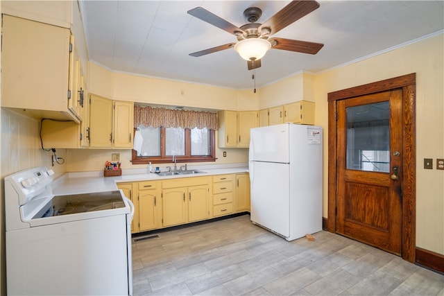 kitchen with white appliances, ceiling fan, crown molding, and sink