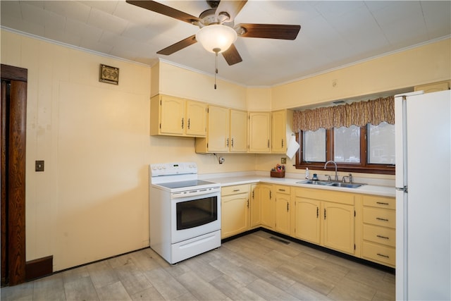 kitchen featuring white appliances, sink, crown molding, light hardwood / wood-style flooring, and ceiling fan