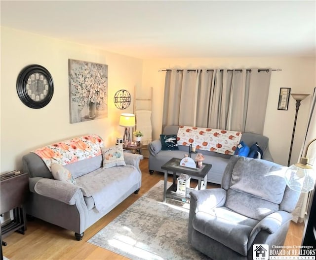 living room with light hardwood / wood-style flooring