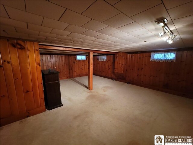 basement featuring a healthy amount of sunlight, light carpet, and wooden walls