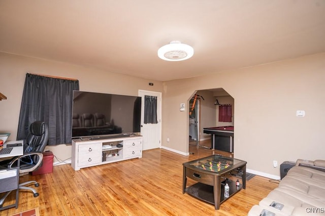 living room featuring light hardwood / wood-style flooring