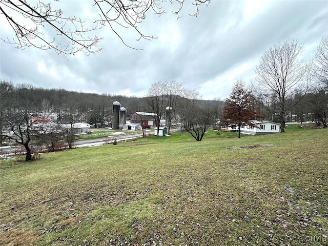 view of community with a lawn