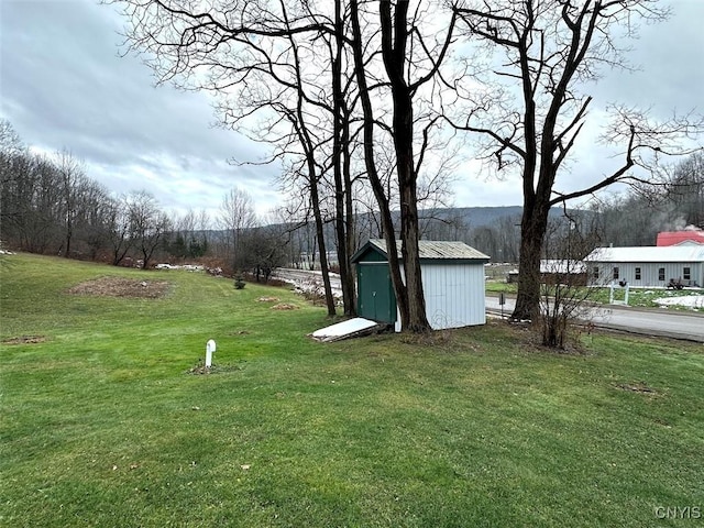 view of yard with a storage shed