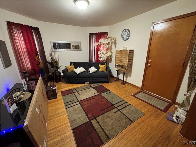 living room with light hardwood / wood-style floors