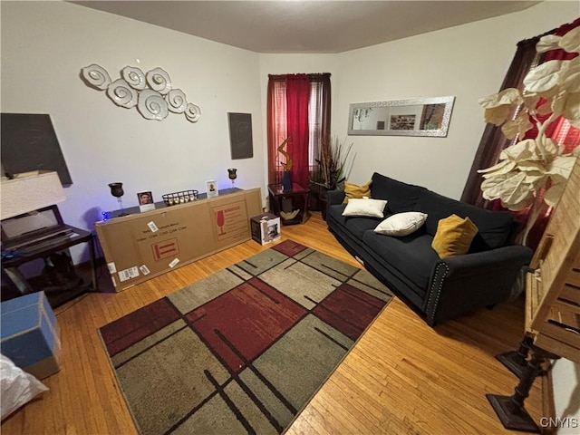 living room featuring hardwood / wood-style flooring