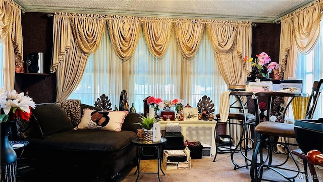 living area featuring carpet flooring, crown molding, and a textured ceiling