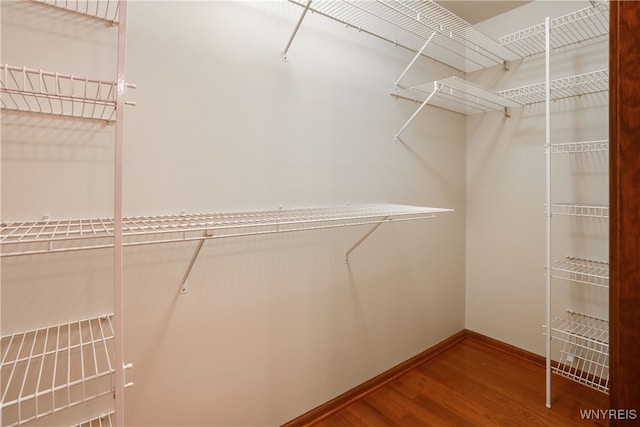 walk in closet with hardwood / wood-style floors