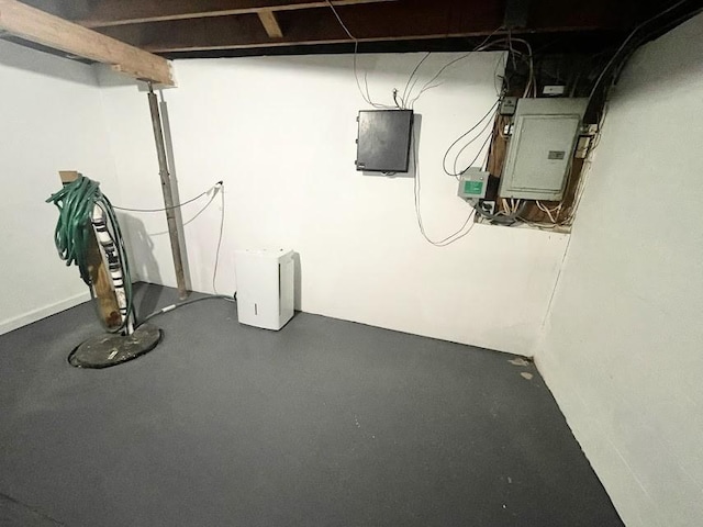 basement featuring electric panel