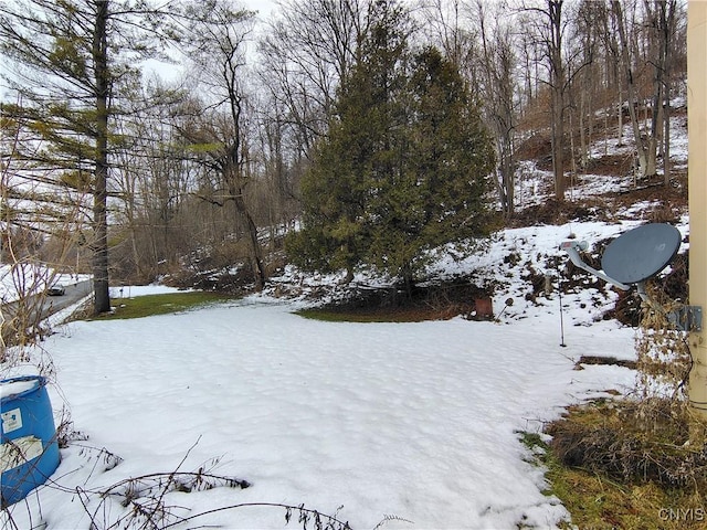 view of yard covered in snow