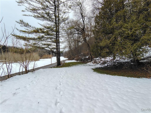 view of snowy yard