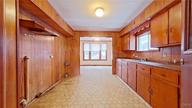 kitchen featuring wood walls and sink