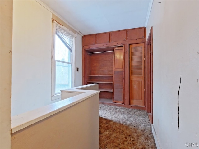 corridor with carpet floors and ornamental molding