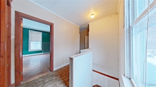 hallway with wood-type flooring and crown molding