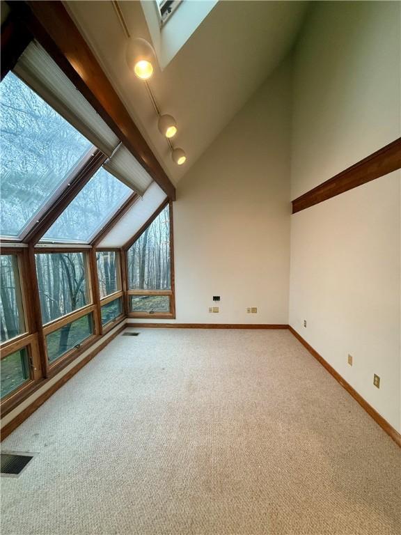 bonus room with carpet floors, a skylight, and a wealth of natural light