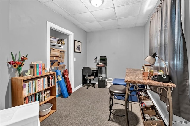 office space featuring carpet flooring and a paneled ceiling