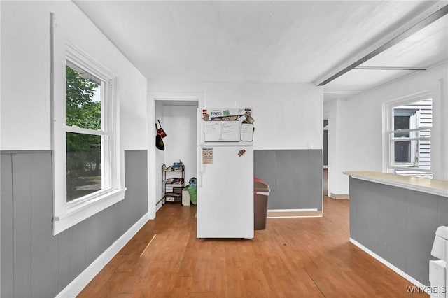 interior space featuring wooden walls and light hardwood / wood-style flooring