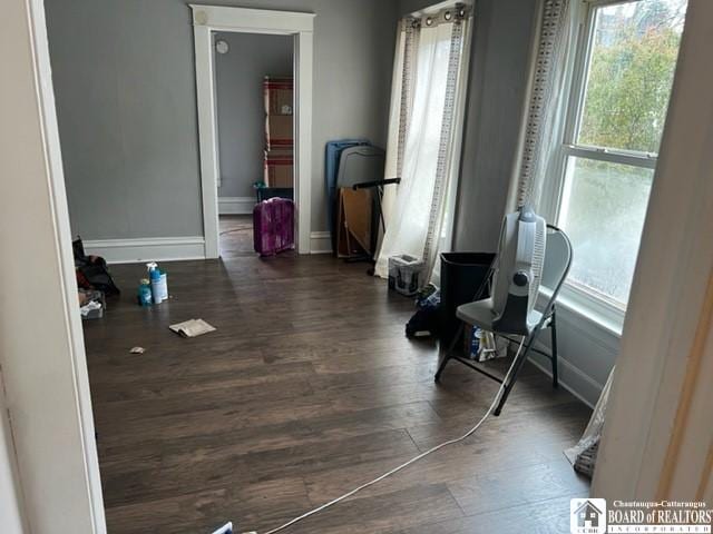 workout room featuring dark hardwood / wood-style flooring