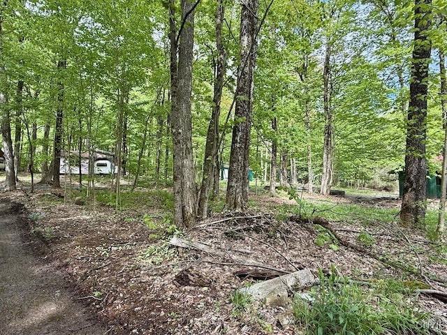 25 Little America Rd, Orwell, NY 13144 - photo 2