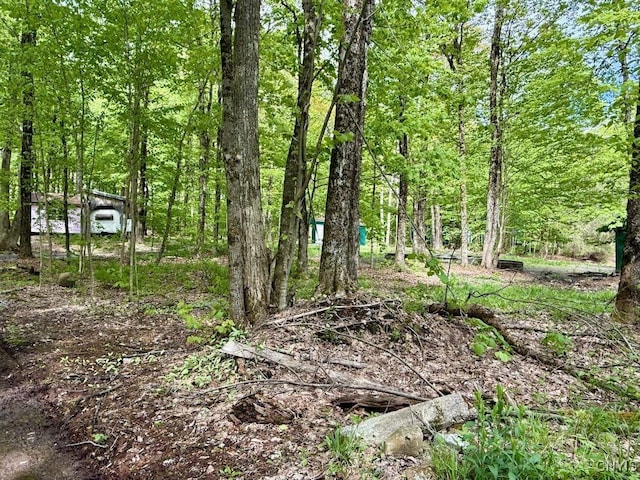 25 Little America Rd, Orwell, NY 13144 - photo 3