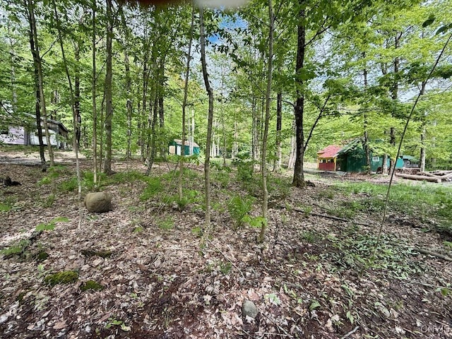 25 Little America Rd, Orwell, NY 13144 - photo 4