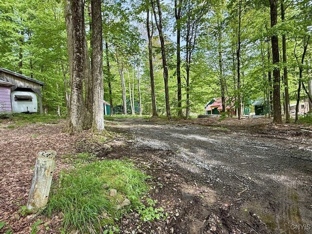 25 Little America Rd, Orwell, NY 13144 - photo 5