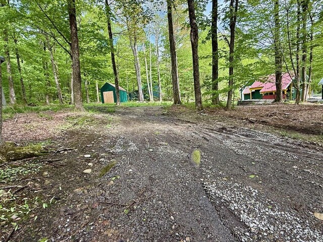 25 Little America Rd, Orwell, NY 13144 - photo 7