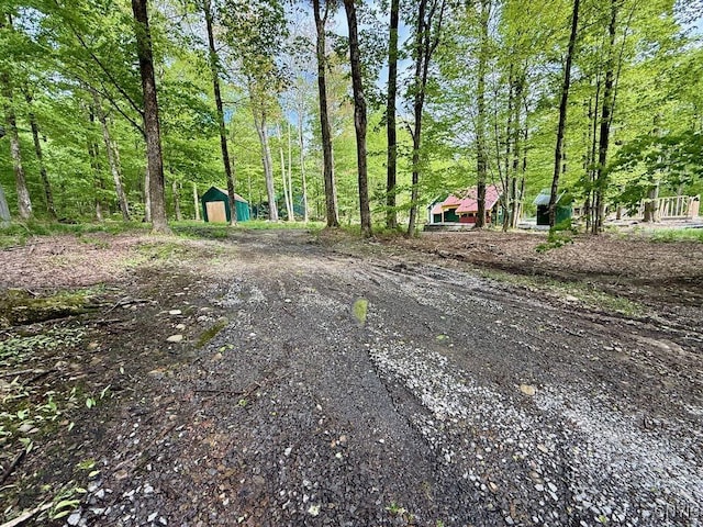 25 Little America Rd, Orwell, NY 13144 - photo 8