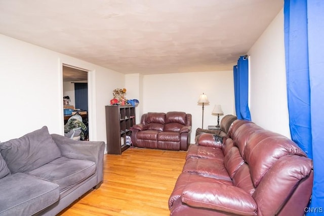 living room featuring hardwood / wood-style floors