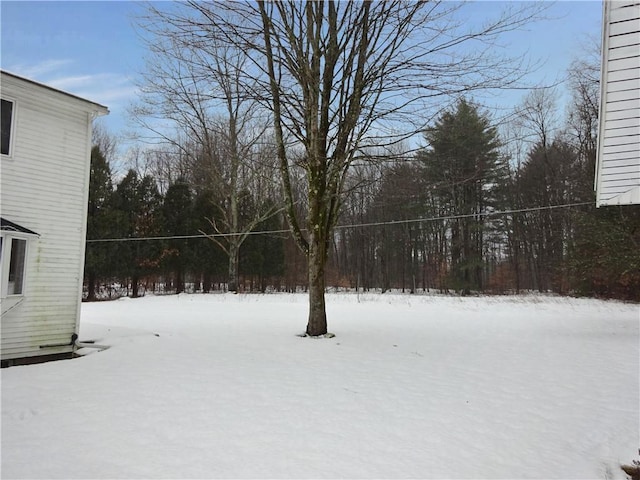 view of yard covered in snow