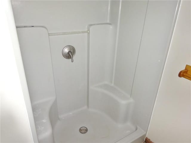 bathroom with walk in shower