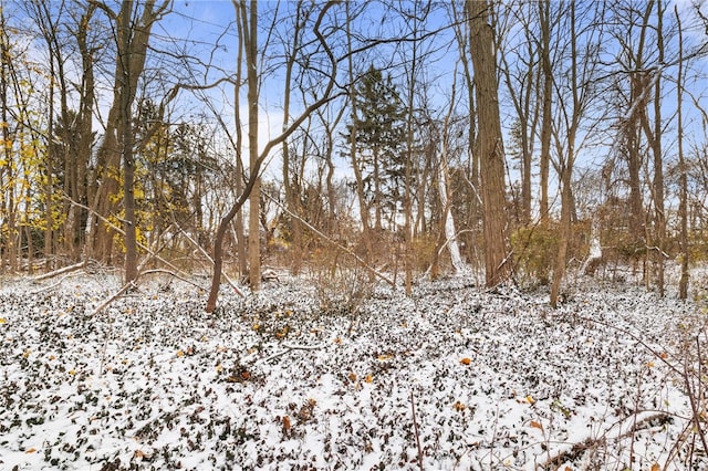 view of snow covered land