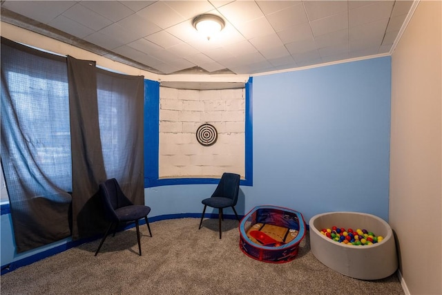 playroom with carpet flooring and ornamental molding