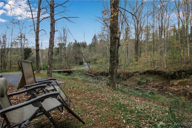 view of property's community featuring a forest view