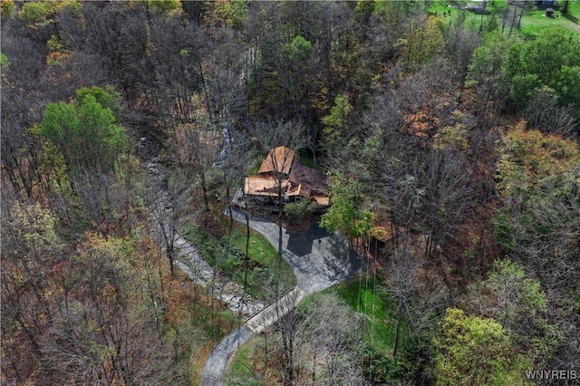 drone / aerial view with a forest view