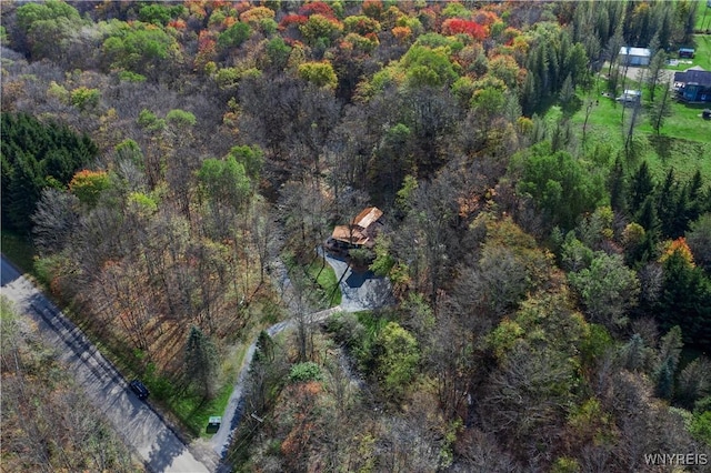 bird's eye view with a wooded view