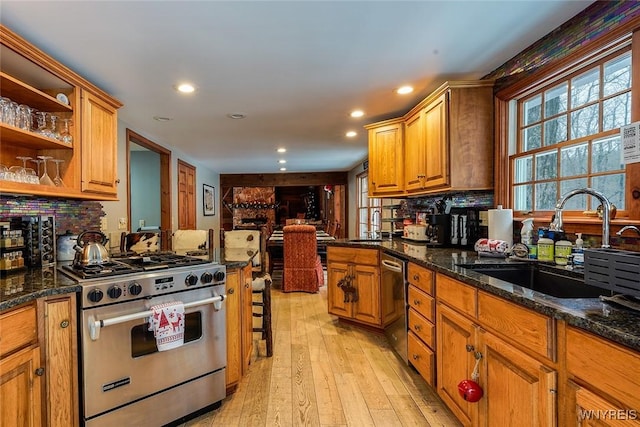 kitchen with a sink, recessed lighting, light wood-style floors, and stainless steel appliances