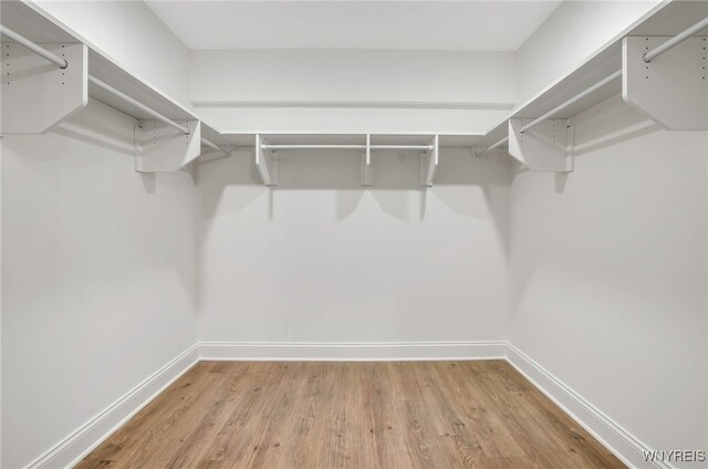 walk in closet featuring hardwood / wood-style flooring