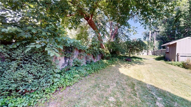 view of yard featuring a storage shed