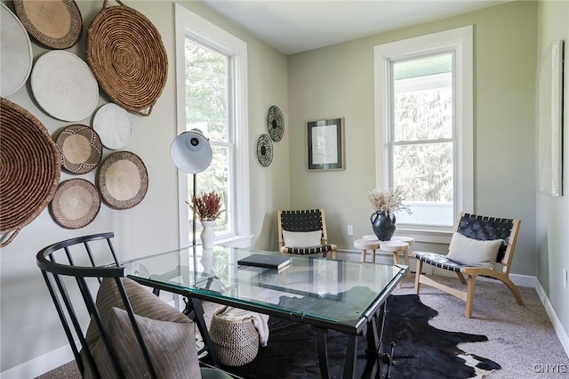 dining room with carpet floors and a wealth of natural light