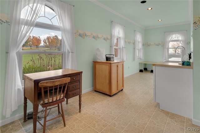 interior space featuring ornamental molding and sink