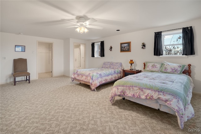 bedroom featuring a walk in closet, ceiling fan, a closet, and light colored carpet