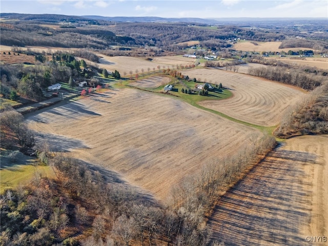 aerial view with a rural view