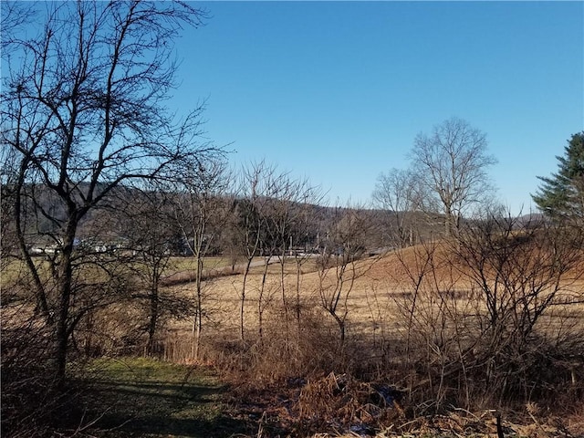 view of nature with a rural view