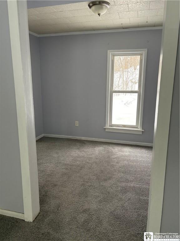 unfurnished room with a textured ceiling, carpet floors, and ornamental molding